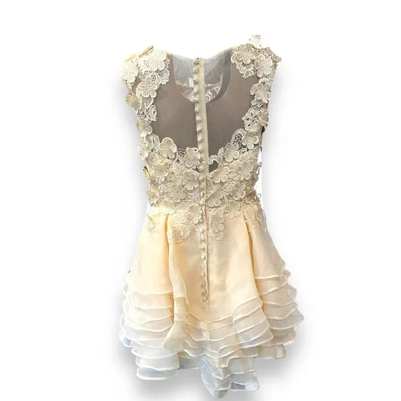 NWT * A-line Organza Mini Dress with Scoop Neck and Flowered Applique - Picture 7 of 9